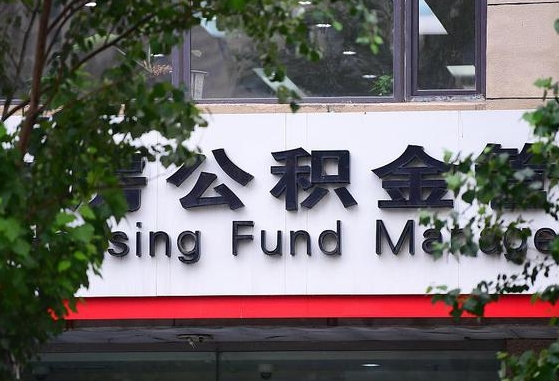 陇南公积金离职封存是什么意思（公积金 离职 封存）